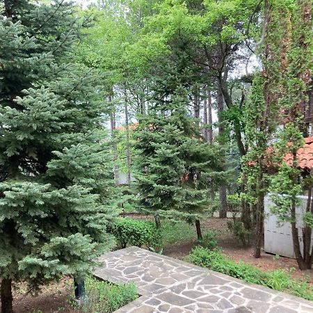 Lovely Apartment Santa Marina Sozopol Extérieur photo