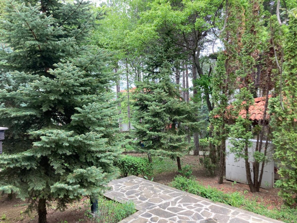 Lovely Apartment Santa Marina Sozopol Extérieur photo
